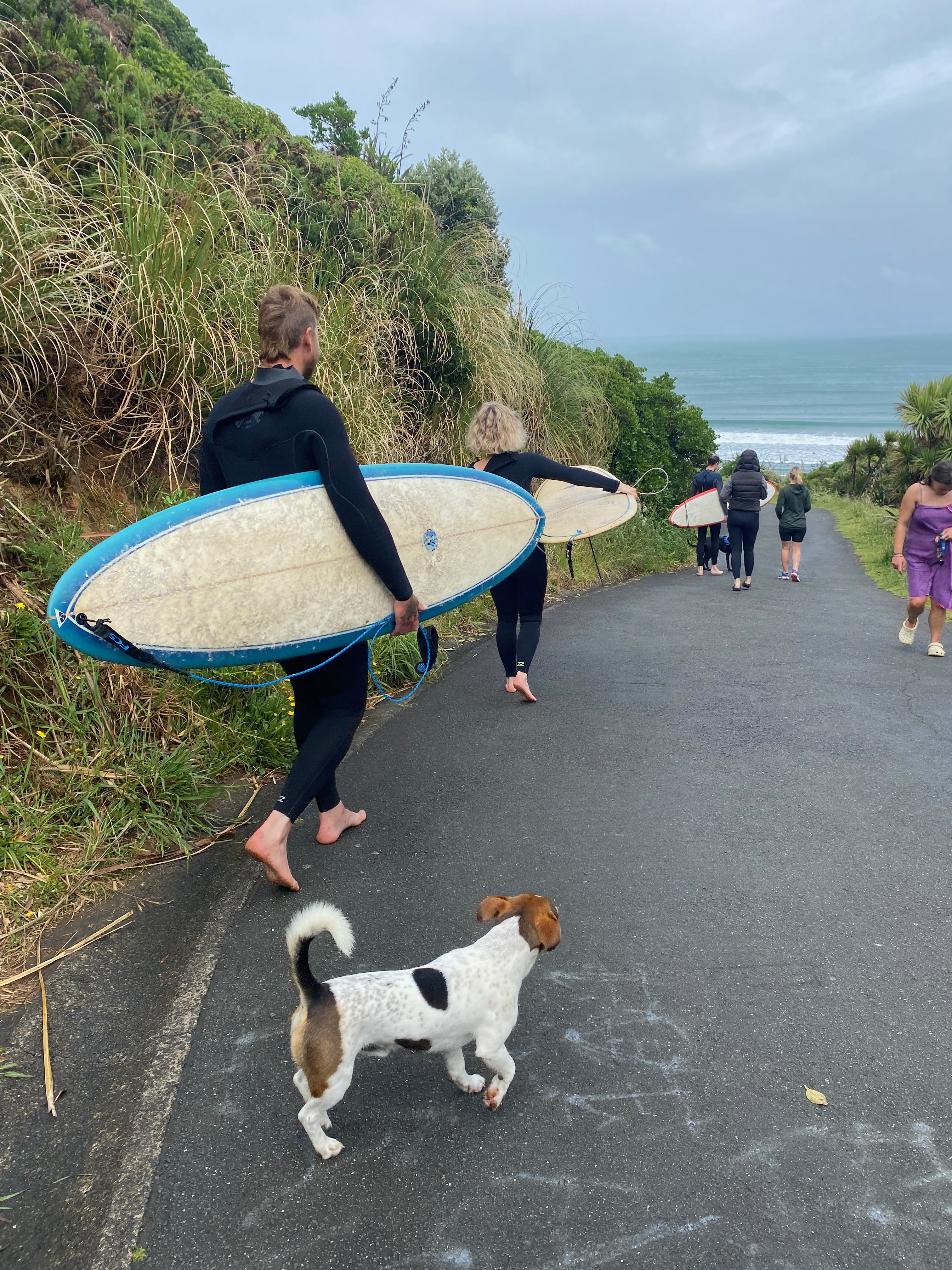 Raglan Surf Scenes New Zealand